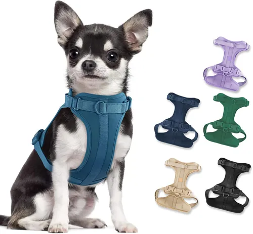 Miniatura 15 de Arnés ligero para perro sin tirones: arnés ajustable y duradero de malla transpirable con cojín suave y cómodo, para perros pequeños, medianos y Lila