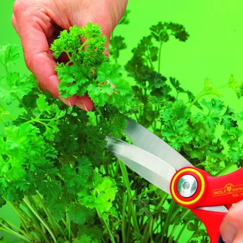 Miniatura 3 de WOLF-Garten RAX Tijeras multiusos