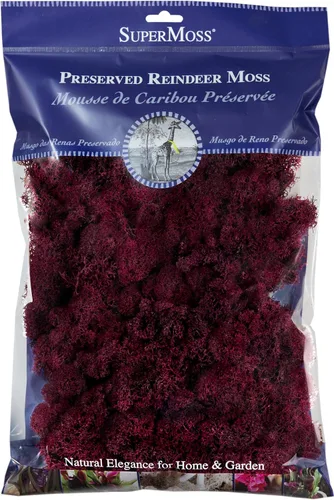 SuperMoss (25169) Musgo de reno preservado, vino, bolsa de 8 onzas
