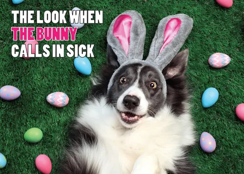 Glory To Dog The Look When The Bunny Calls in Sick Divertida tarjeta de Pascua con sobre de correo de tarjeta de felicitación