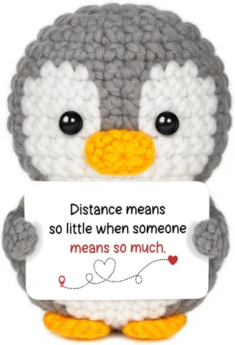 Regalos para relaciones a larga distancia para novio, novia, amistad, regalos de Thinking of You para mejor amiga, pareja, pingüino de ganchillo