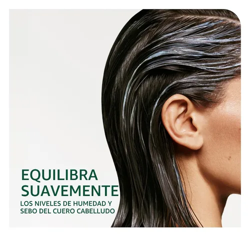 Miniatura 3 de Biolage Scalp Sync Universal Conditioner - Nourishing & Hydrating for All Scalp Types, Lightweight Moisturizing & Conditioning, Fermented Tea Blend