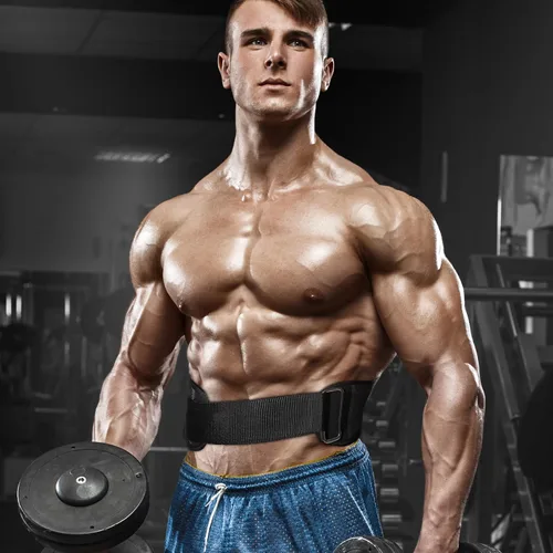 Miniatura 11 de Cinturón de levantamiento de pesas para hombres y mujeres, cinturón de gimnasio de apoyo lumbar y espalda de 8 pulgadas para culturismo, fitness