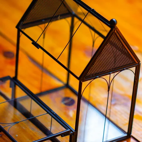 Miniatura 6 de NCYP Pequeño recinto de terrario de vidrio con malla para arañas saltadoras, plantas suculentas en forma de micro casa, terrario, decoración