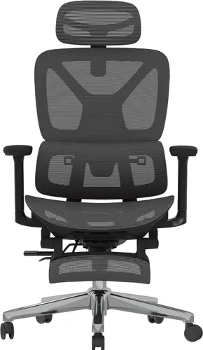 Miniatura 11 de FLEXISPOT ErgoX - Silla de oficina ergonómica de alta calidad con reposapiés, reposabrazos 3D ajustables, soporte lumbar dinámico, función Gris