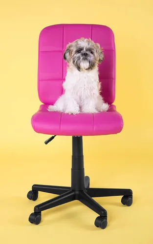 Miniatura 13 de Flash Furniture - Silla giratoria de respaldo medio de vinilo, acolchada, color negro Rosa