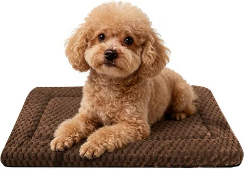 Miniatura 52 de Alfombrilla para Cama de Perro – Almohadilla de Perrera Suave y Cómoda para Jaula – Cama y Almohadilla Duradera para Perros y Gatos – Ideal para Gris