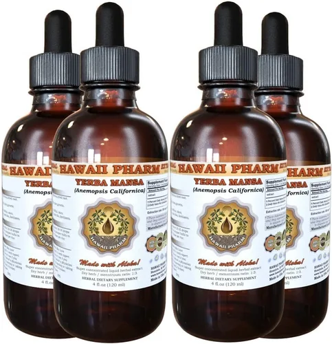 Hawaii Pharm Yerba mansa (Anemopsis californica) Extracto Líquido 4x4 fl.oz