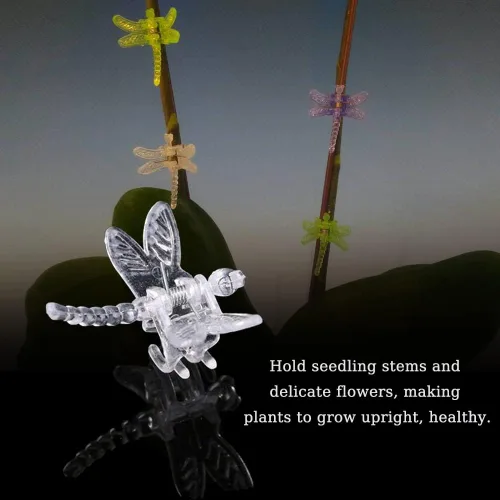 Miniatura 3 de Watris Veiyi 100 piezas de soporte para orquídeas de plantas, clips de orquídea libélula de jardín, clips portátiles de vid de flores lindos