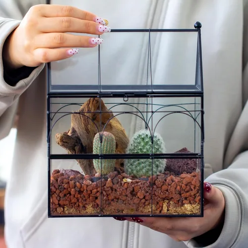 Miniatura 6 de NCYP Recinto de vidrio con orificios de ventilación para insectos, arañas saltadoras, 7.5 x 4.9 x 9 pulgadas, pequeña puerta cerrada de apertura