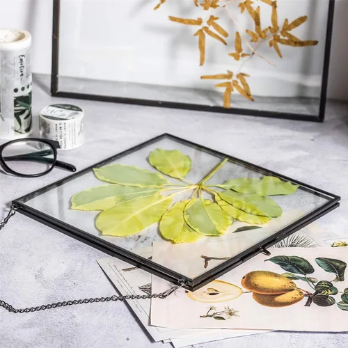 Miniatura 7 de NCYP Marco flotante de vidrio colgante para flores secas prensadas, fotos, imágenes, especímenes de plantas pequeñas, 8 x 8 pulgadas, negro