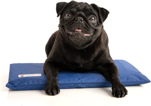 CoolerDog Hydro Cooling Mini Mat para perros – Tapete de enfriamiento para perros y almohadilla de enfriamiento para climas cálidos – Sistema de