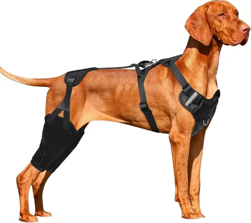 Rodillera para perro, soporte de ACL de perro para la pierna trasera trasera trasera, soporte de pierna