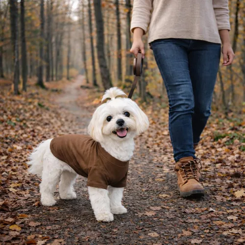 Miniatura 7 de Lovelonglong Ropa para mascotas, disfraces para perro, ropa de perro salchicha, camiseta en blanco para perros salchicha, Corgi 100% algodón, café