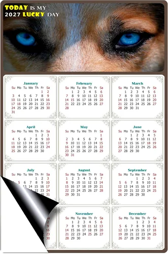 Miniatura 2 de Calendario magnético 2024 – Imanes del calendario – Today is my Lucky Day – Resistente a la decoloración, desgarros y agua – Temático de perros 03