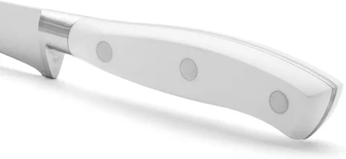 Miniatura 4 de ARCOS Cuchillo Cortador/Jamón de Acero Inoxidable Nitrum de 10 Pulgadas y Hoja de 9.843 in. Mango ergonómico POM Polioximetileno. Serie Riviera