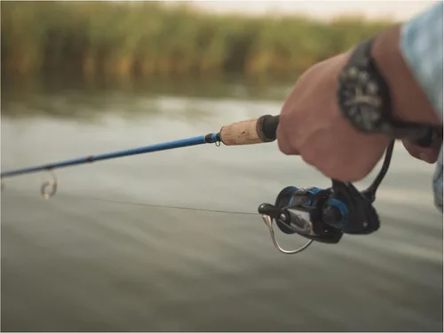 Miniatura 5 de Temple Fork Outfitters TFO - Cañas de pesca de acción rápida para agua dulce y salada, 3 piezas