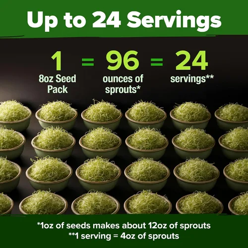 Miniatura 3 de HOME GROWN Semillas de germinación de alfalfa de 8 onzas sin OMG, procedentes de Estados Unidos, de alta germinación, microverdes de rápido