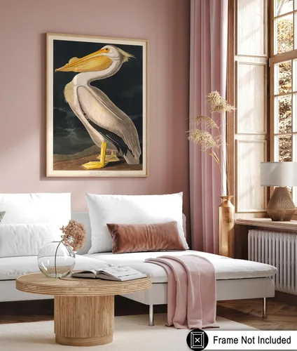Miniatura 6 de Poster Master Póster vintage de James Audubon - Impresión retro de pelícano blanco - Arte de pájaros de América - Arte de pájaros - Regalo