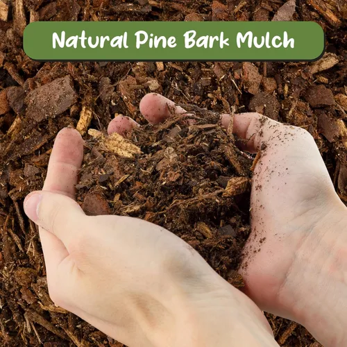 Miniatura 3 de Soil Sunrise Pepitas de mantillo de corteza de pino 100% natural (12 cuartos de galón) pequeñas astillas para jardinería en contenedores