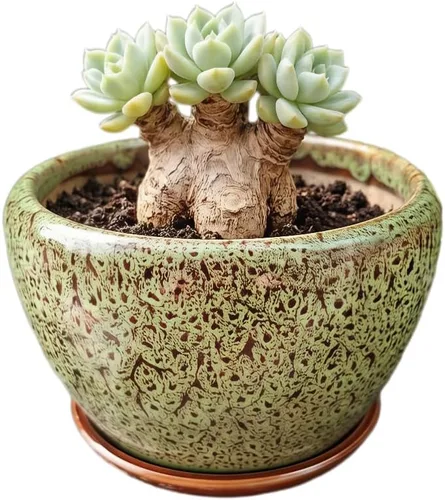 Miniatura 8 de Bonita maceta circular de cerámica para decoración del hogar y jardín, suculentas, cactus, maceta no incluida (azul, 3.19 pulgadas)