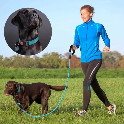 Miniatura 5 de Ladoogo Correa para perro resistente, mango acolchado cómodo, 5 pies de largo - Correas para perros pequeños, medianos y grandes