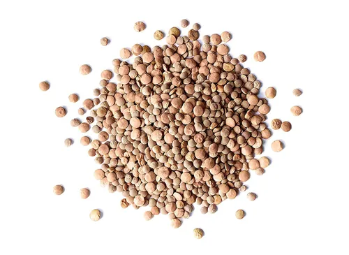 Miniatura 3 de Food to Live - Lentejas rojas enteras, 1 libra - Frijoles crudos secos, germinables, veganos, kosher, a granel. Fácil de cocinar. Buena fuente