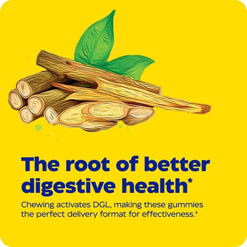 Miniatura 5 de Enzymedica DGL Suplemento para hombres y mujeres – DGL Gomitas de regaliz deglicirricinadas para apoyo digestivo y salud intestinal, alivia