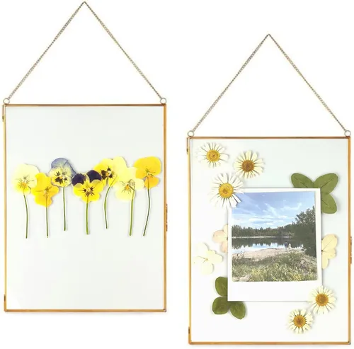 Miniatura 14 de Beedecor Juego de 2 marcos colgantes de vidrio doble para flores prensadas, hojas y obras de arte, marco flotante de metal grande con cadena, marcos