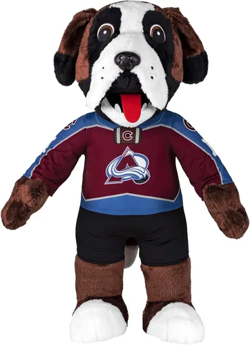 Miniatura 33 de Bleacher Creatures Anaheim Ducks Wild Wing - Figura de peluche de mascota de la NHL de 10 pulgadas (uniforme triangular verde azulado), una mascota