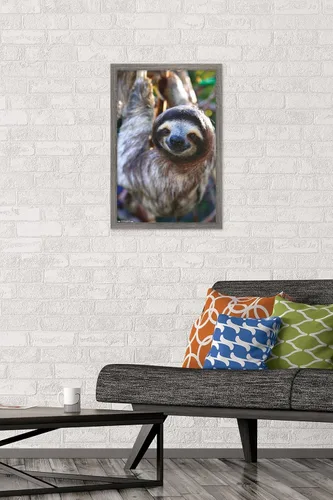 Miniatura 2 de Trends International Póster de pared de perezoso - Sonrisa, 14.725 x 22.375 pulgadas, versión enmarcada de madera de granero