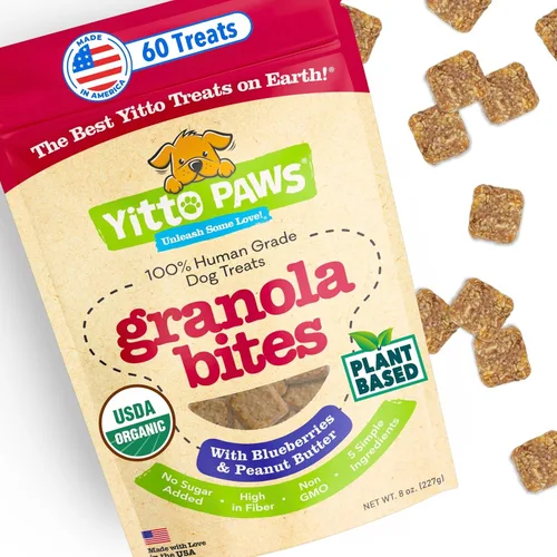 Golosinas orgánicas para perros – Galletas crujientes de entrenamiento para perros con sabor a arándano y mantequilla de maní – Veganas, de grado