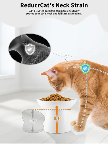 Miniatura 3 de LoeJan Juego de cuencos elevados para alimentos y agua, comedero de cerámica extra ancho y elevado, cuenco de alimentación para gatos antivómitos
