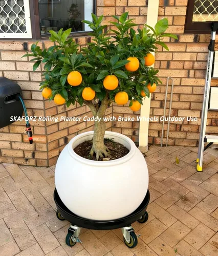 Miniatura 6 de Organizador de macetas con ruedas (capacidad de 430 libras), soporte de metal resistente con ruedas de freno, bandeja para plantas para interiores