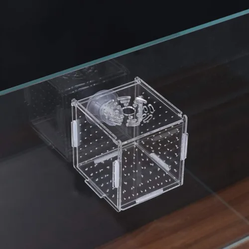 Miniatura 9 de Caja de cría de peces, caja de incubadora de incubadora, cajas de cría de peces de acuario, cajas divisorias para eclosionar, accesorio