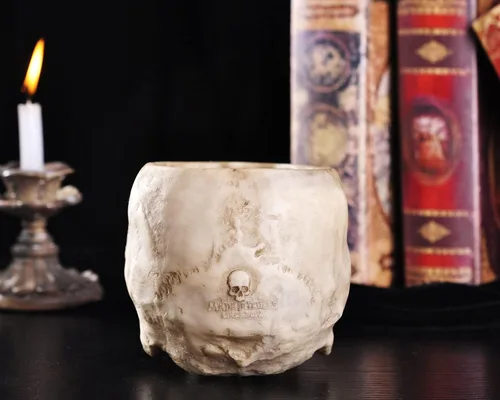 Miniatura 4 de IBWell Maceta moderna de resina grande de 6 pulgadas con diseño de calavera en forma de calavera para flores, decoración de maceta, decoración