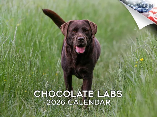 Miniatura 161 de Calendario 2025 2026 de cachorros Cocker Spaniel - Calendario mensual de pared de raza de perro - 12" x 24" abierto - Papel grueso sin sangrado