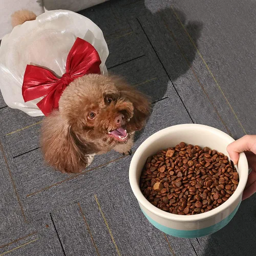 Miniatura 5 de Sweejar Cuencos de Cerámica para Perros, Plato de Comida para Perros Pequeños y Gatos, Cuenco de Porcelana Resistente para Mascotas para Comida