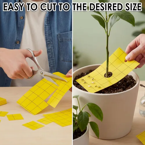 Miniatura 8 de Qualirey 300 Trampa Adhesiva para Mosquitos 3 x 5'' Trampa Adhesiva de Doble Cara para Moscas de la Fruta con Atadura para Planta para Insectos