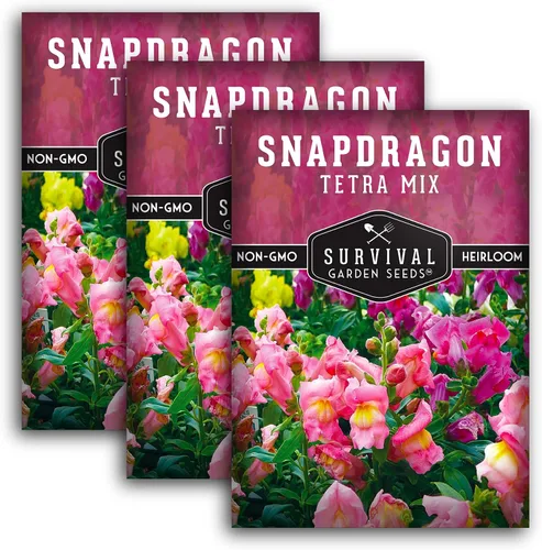 Miniatura 11 de Survival Garden Seeds - Semillas de mezcla de tetra Snapdragon para plantar - Paquete con instrucciones para plantar y cultivar hermosas flores