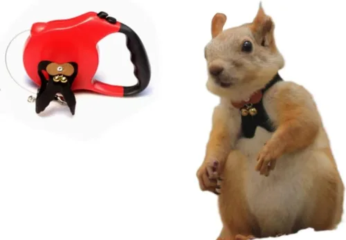 Miniatura 6 de Correa de cuerda de tracción de ardilla, cuerda de cadena antimordeduras, arnés para caminar pequeños animales con correa extensible para hámster