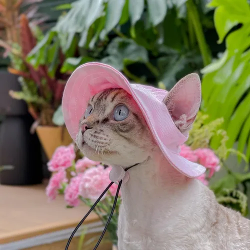 Miniatura 5 de Sombrero para mascotas con agujeros para las orejas, protector solar, gorra de béisbol adecuada para perros pequeños y medianos, sombrero de Rosa