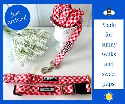 Miniatura 2 de Lucky Love Dog - Collar de perro ajustable con hebilla de fácil clic para los pequeños, duradero y cómodo para perros machos y hembras, collar