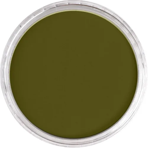 Miniatura 5 de PanPastel Golden - Pasteles para artistas, amarillo brillante verde extra oscuro, 2.44 pulgadas/2.441 in de diámetro, pasteles para artistas