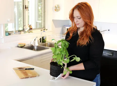 Miniatura 4 de Emsco Grupo Bountiful caja de cultivo, cama elevada para cosechar, maceta hidrofónica, no eléctrica