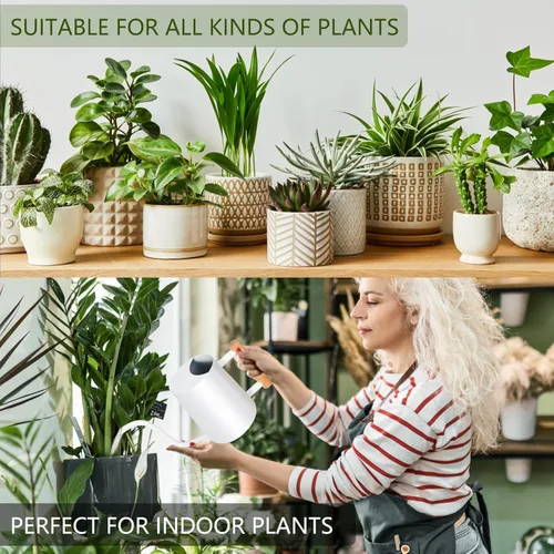 Miniatura 3 de Regadera para plantas de interior, regadera pequeña de acero inoxidable de 35 onzas, regadera decorativa moderna con boquilla larga para plantas