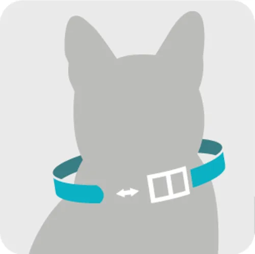 Miniatura 9 de Sergeant's Guardian Pro - Collar para gatos pulgas y garrapatas, 1 unidad