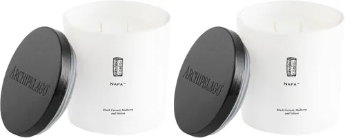 Miniatura 11 de Archipelago Botanicals Big Sur Luxe Candle Cedro de California, ámbar y almizcle Mezcla de cera de coco y mechas dobles Quema aproximadamente