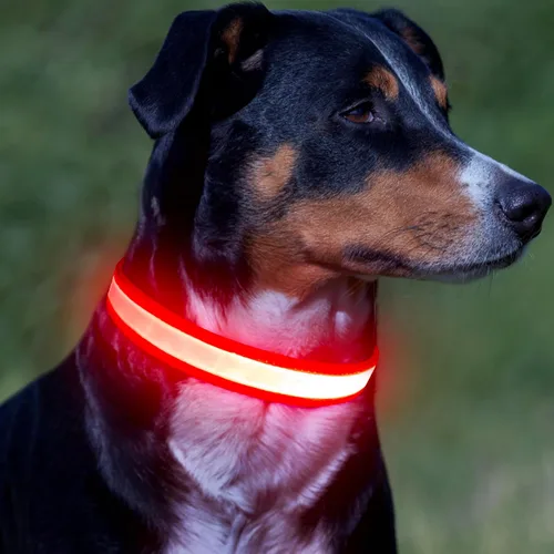 Miniatura 6 de Vizpet Collar para perro con luz LED, ajustable, recargable por USB, superbrillante, luz de seguridad, collar brillante para perros (grande, rojo)