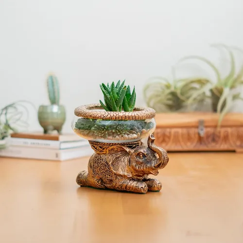 Miniatura 8 de Tazón de cristal de elefante de buena suerte, figura decorativa envejecida dorada con cuenco de vidrio extraíble, terrario, portavelas o acuario